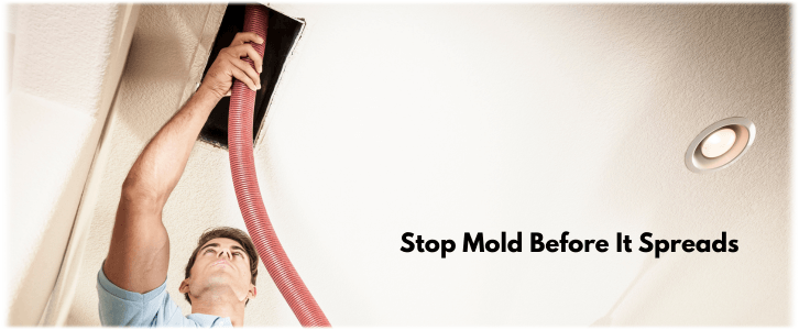 Air Duct Mold Removal in Elmhurst IL