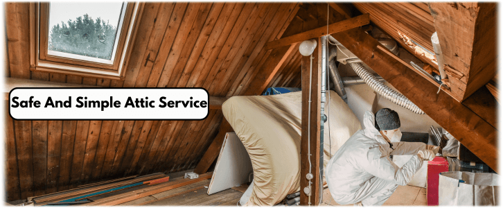 Attic Cleaning Elmhurst IL